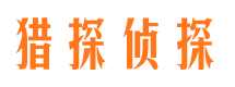 大观市私人侦探